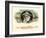 Walt Whitman-Haywood, Strasser & Voigt Litho-Framed Art Print