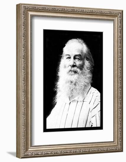 Walt Whitman-Mathew Brady-Framed Photo