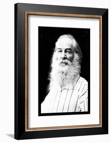 Walt Whitman-Mathew Brady-Framed Photo