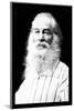 Walt Whitman-Mathew Brady-Mounted Photo