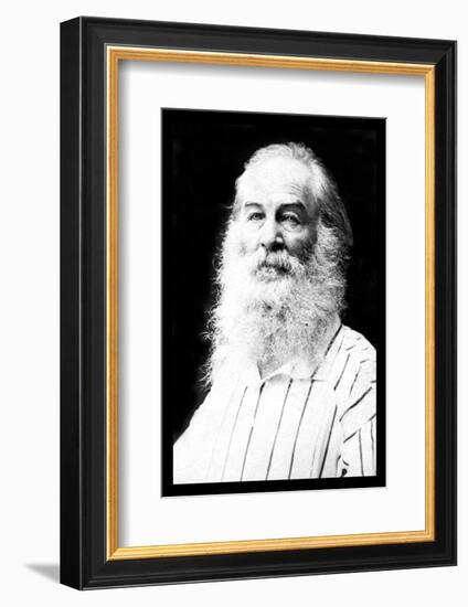 Walt Whitman-Mathew Brady-Framed Photo