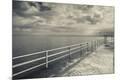 Premium Photographic Print