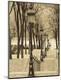 Photographic Print