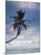 Premium Photographic Print