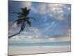 Premium Photographic Print
