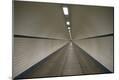 Premium Photographic Print