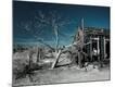 Premium Photographic Print