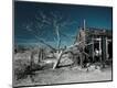 Photographic Print