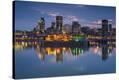 Stretched Canvas Print