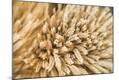 Premium Photographic Print