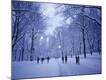 Photographic Print