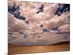 Photographic Print