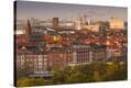 Stretched Canvas Print