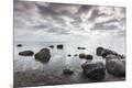 Photographic Print