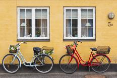 Denmark, Zealand, Soro, Traditional Danish Houses, Sogade Street-Walter Bibikow-Photographic Print