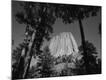Premium Photographic Print