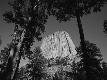 Premium Photographic Print