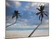 Premium Photographic Print