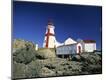 Photographic Print