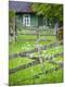 Photographic Print