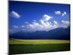 Photographic Print