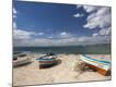 Photographic Print