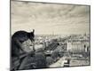 Photographic Print