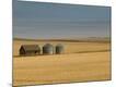 Premium Photographic Print