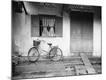 Photographic Print