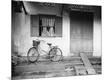 Photographic Print