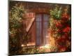 Photographic Print