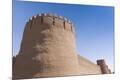 Premium Photographic Print