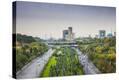 Stretched Canvas Print