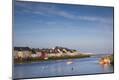 Premium Photographic Print