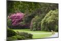 Premium Photographic Print