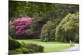 Premium Photographic Print