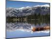 Photographic Print