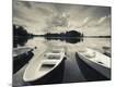 Photographic Print