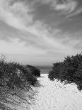 Vineyard Haven Harbour, Martha's Vineyard, Massachusetts, USA-Walter Bibikow-Photographic Print