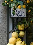 Lemons, Positano, Amalfi Coast, Campania, Italy-Walter Bibikow-Photographic Print