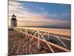 Photographic Print