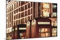 Photographic Print
