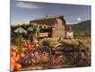 Photographic Print