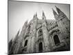 Photographic Print