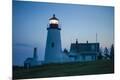 Premium Photographic Print