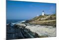 Photographic Print