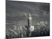 Premium Photographic Print