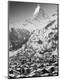 Photographic Print