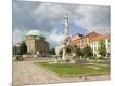 Photographic Print
