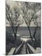 Photographic Print